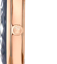 Швейцарские наручные часы Swarovski 5650033