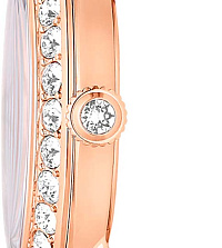 Швейцарские наручные часы Swarovski 5672981
